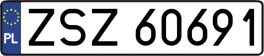 ZSZ60691