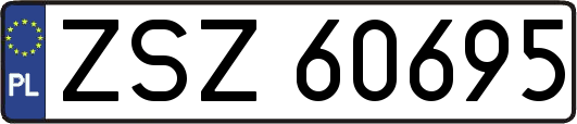 ZSZ60695