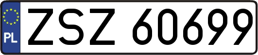 ZSZ60699