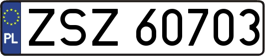 ZSZ60703