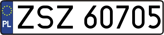 ZSZ60705