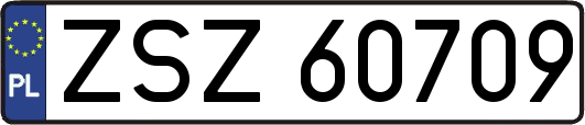 ZSZ60709