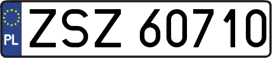 ZSZ60710