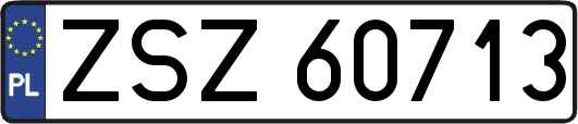 ZSZ60713
