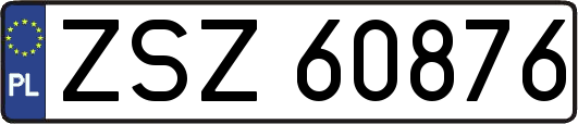ZSZ60876