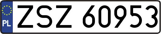 ZSZ60953
