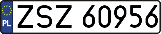 ZSZ60956