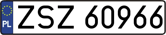 ZSZ60966