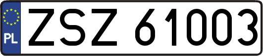 ZSZ61003