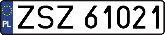 ZSZ61021