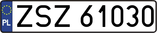 ZSZ61030