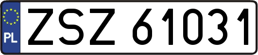 ZSZ61031
