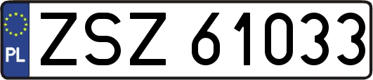 ZSZ61033