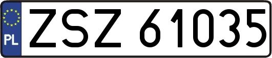 ZSZ61035