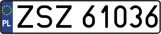 ZSZ61036