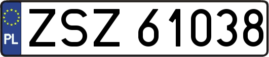 ZSZ61038