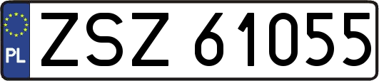 ZSZ61055