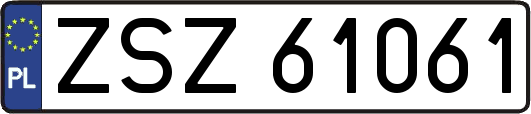ZSZ61061