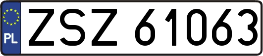ZSZ61063