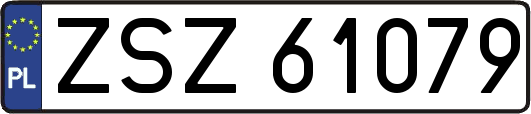 ZSZ61079