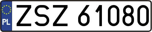 ZSZ61080