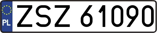 ZSZ61090