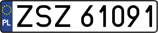 ZSZ61091