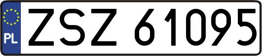ZSZ61095