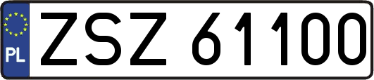 ZSZ61100