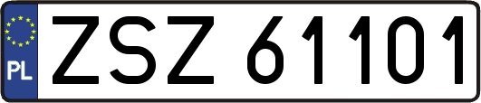ZSZ61101