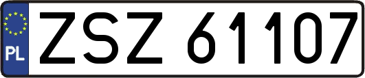 ZSZ61107