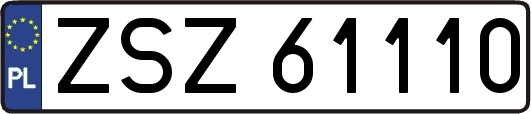 ZSZ61110