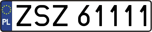 ZSZ61111