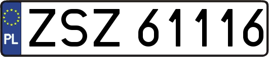 ZSZ61116