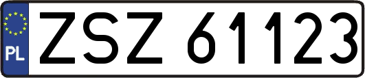 ZSZ61123