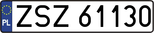 ZSZ61130