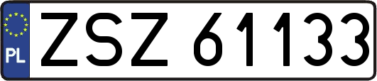 ZSZ61133