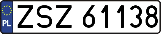ZSZ61138