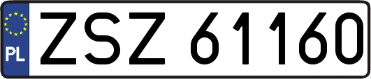 ZSZ61160