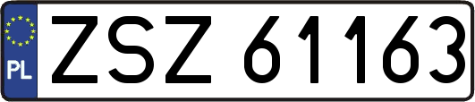 ZSZ61163