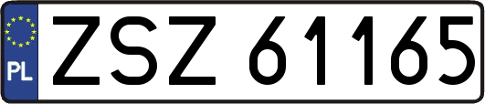 ZSZ61165