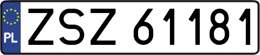 ZSZ61181