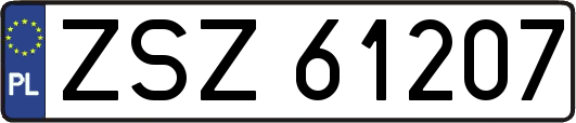ZSZ61207