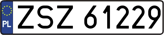 ZSZ61229