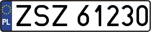 ZSZ61230