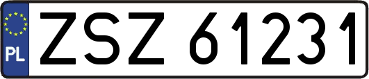 ZSZ61231