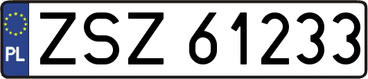 ZSZ61233