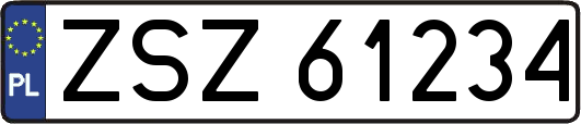 ZSZ61234