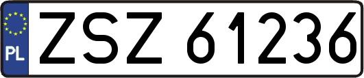 ZSZ61236