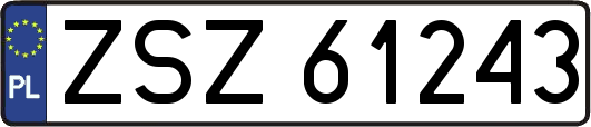 ZSZ61243
